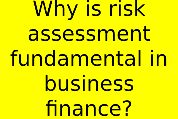 Why is risk assessment fundamental in business finance?