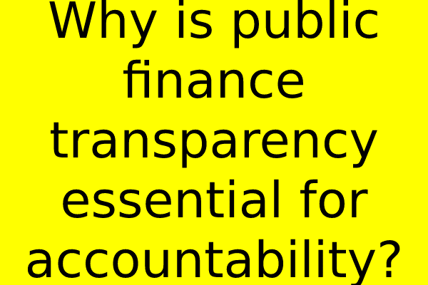 Why is public finance transparency essential for accountability?