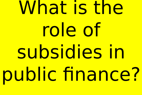 What is the role of subsidies in public finance?