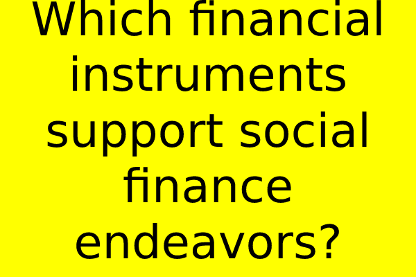 Which financial instruments support social finance endeavors?