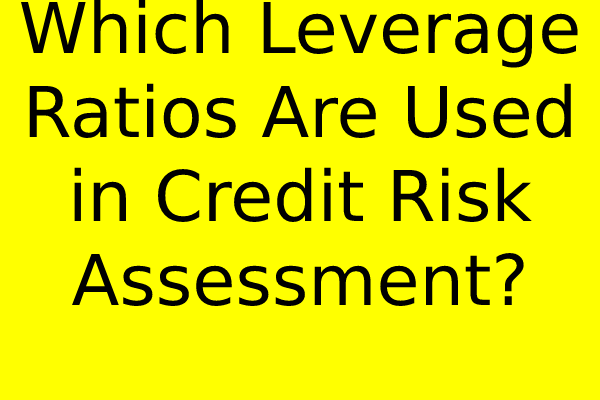 Which Leverage Ratios Are Used in Credit Risk Assessment?