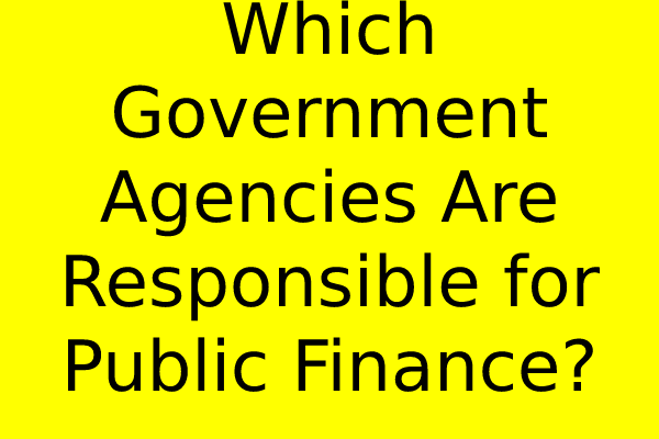 Which Government Agencies Are Responsible for Public Finance?