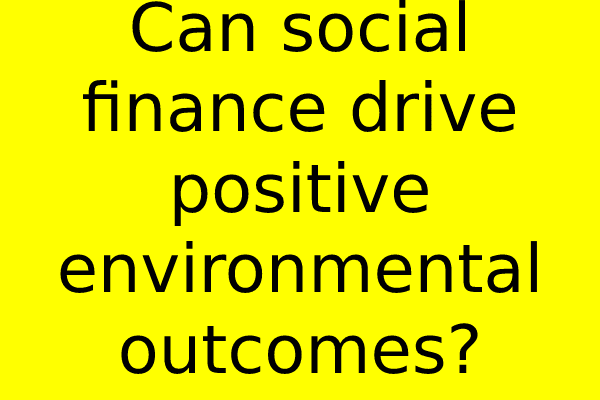 Can social finance drive positive environmental outcomes?