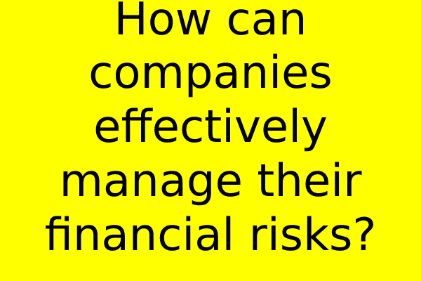 How can companies effectively manage their financial risks?