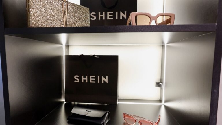 Shein’s three-year IPO delay cost it the ‘golden time’ to go public