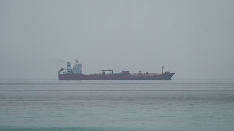 Oil tankers face ‘worst case scenario’ in Hormuz, maritime risk CEO says