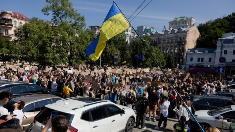 Ukraine: Protest in Kyiv after Zelenskyy ousts defense minister
