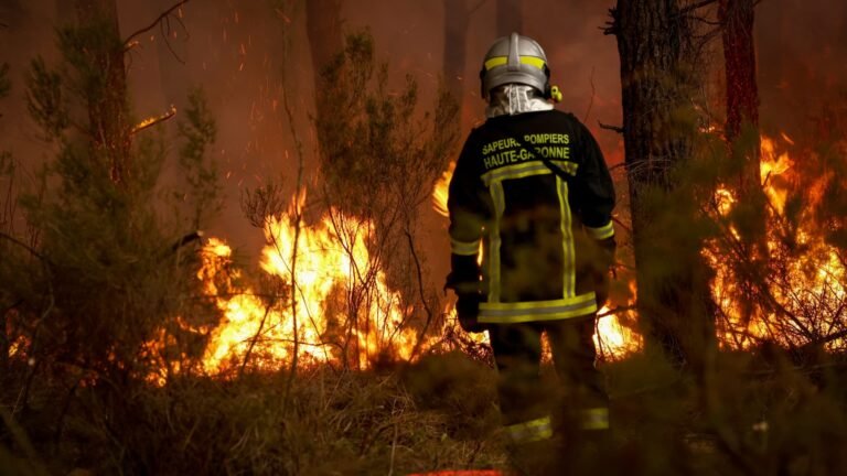 What to know about the wildfires spreading in Spain and France