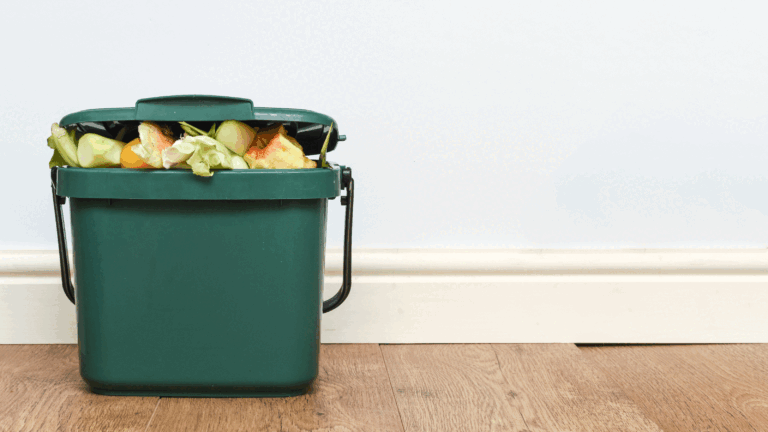 Where to put food waste (no, it’s not your kitchen worktop)