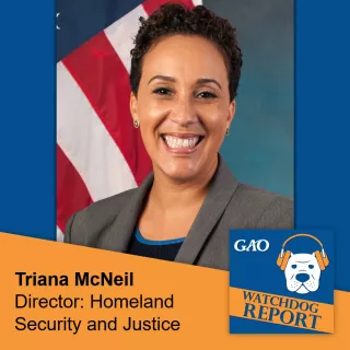 U.S. GAO – Efforts to Stop the Sale of Thousands of Unauthorized E-Cigarette Products