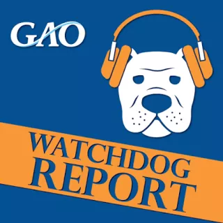 U.S. GAO – How Airline Mergers and Competition Impact Passengers?