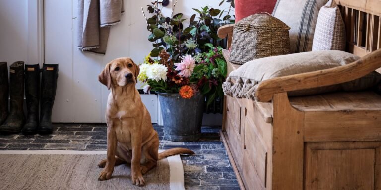 You’d never guess this chic sideboard from Debenhams was actually a dog crate