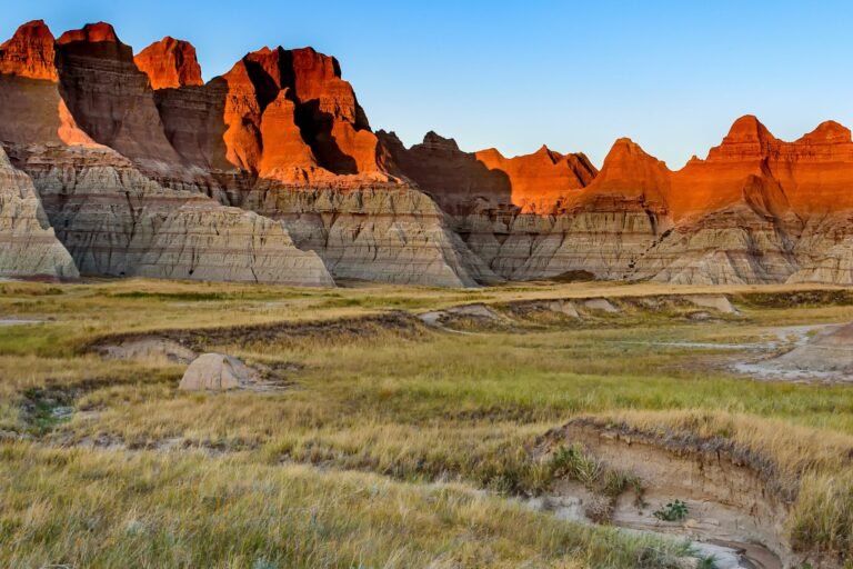 Why Theodore Roosevelt’s Library Belongs in the Badlands | American Enterprise Institute