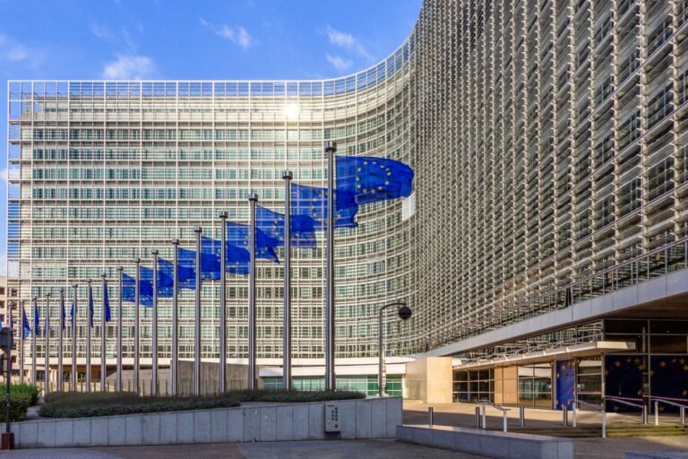 Testimony: Are Digital Taxes a Viable Solution for the EU Budget?