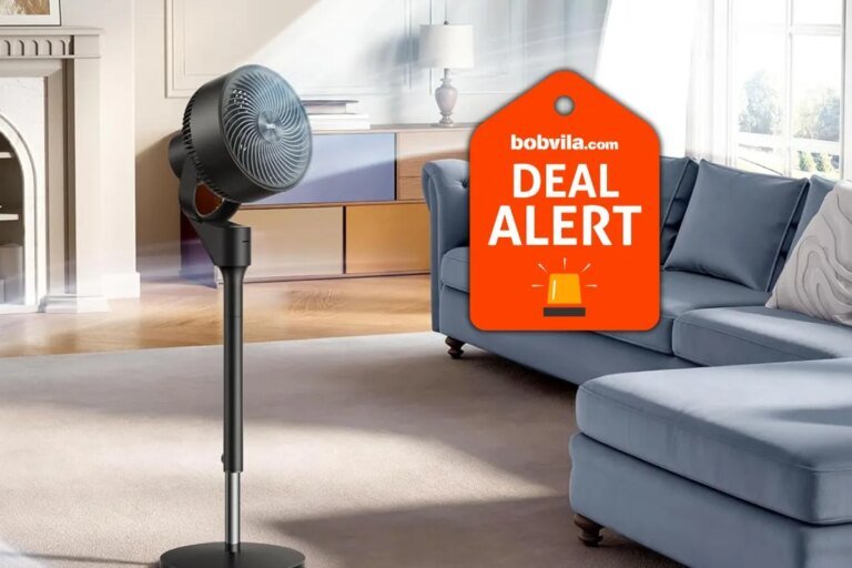 Amazon Slashed Fan Prices to Clearance Prices for Summer—Save Up to 41% Off Lasko, Dreo, Shark, and More