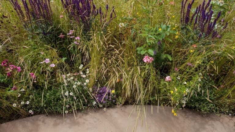 Backyard Borders Started Filling With Ornamental Grass Instead of Mulch