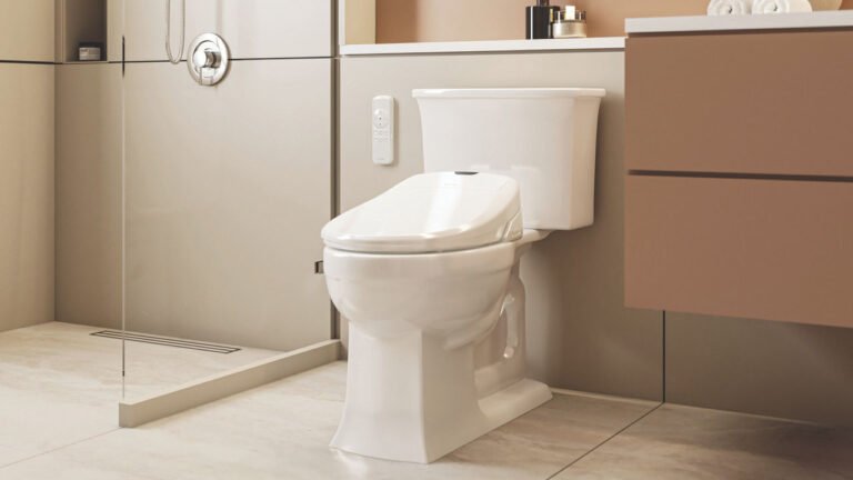 Fully Customizable Brondell Electric Bidet Seat Finds a Sweet Spot