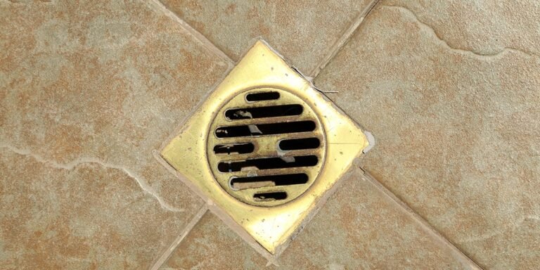 Help, how do I get rid of drain flies?
