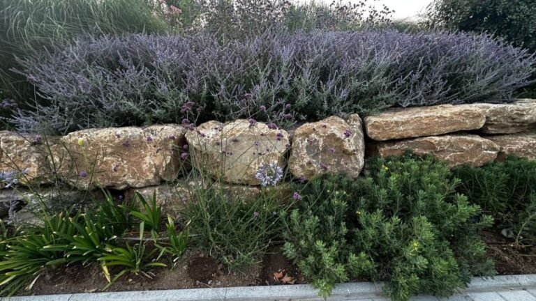 Garden Designers Are Replacing Basic Edging With Natural Limestone Walls