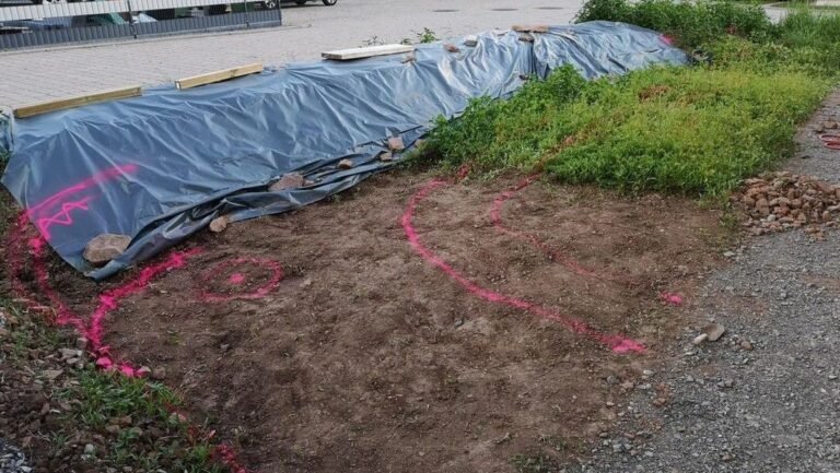 He Turned a Sloped Front Yard Into a Terraced Garden With One Curved Retaining Wall