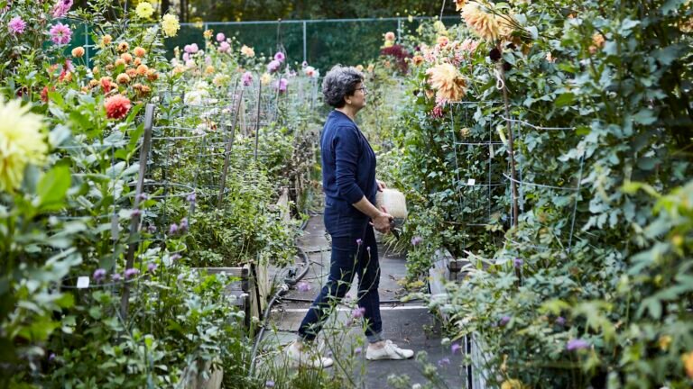 Garden Diaries: How Frances Palmer’s Flowers Inspire Her Ceramics