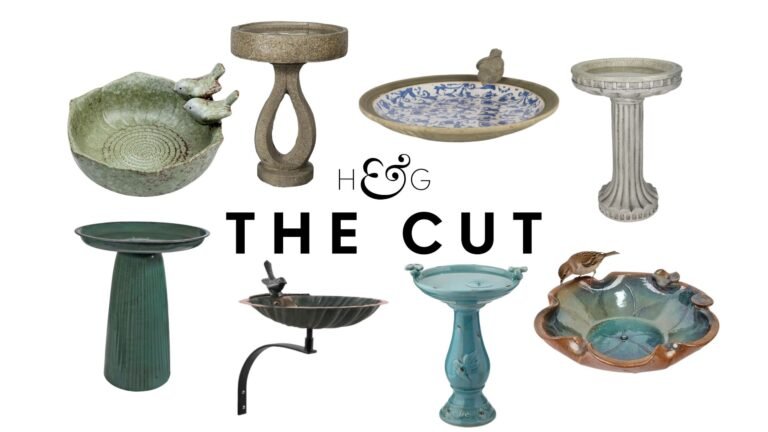 16 Gorgeous Bird Baths to Elevate Your Yard