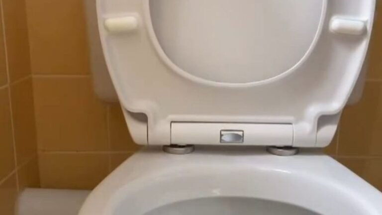 Not Bleach: This Bathroom Cleaning Method Started Removing Toilet Seat Stains