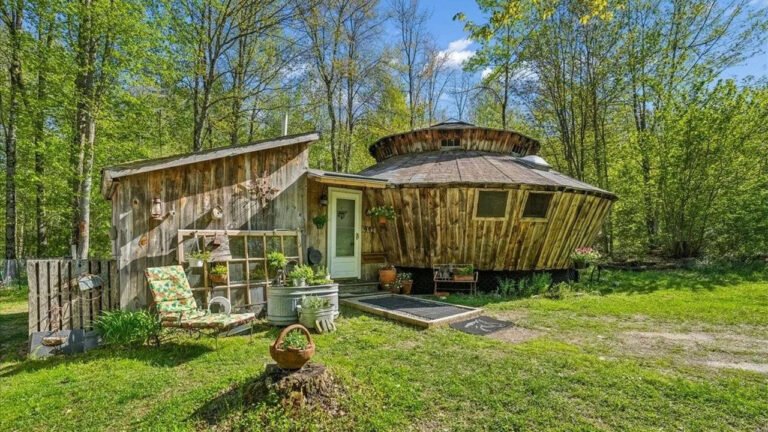 Rare UFO-Shaped Rustic Cabin in Woods Goes on Market for $300K