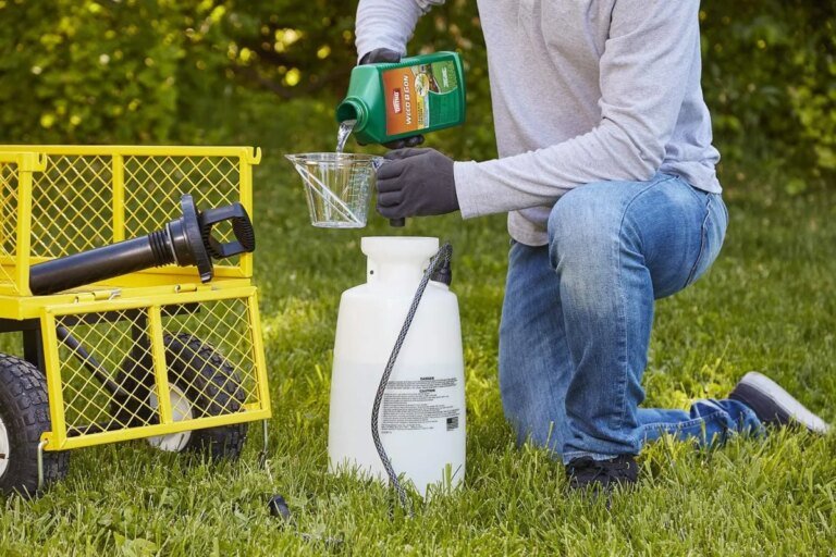 The Best Crabgrass Killers of 2026, Tested by Experts