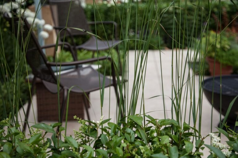 The Garden Plant That May Help Keep Mosquitoes Away