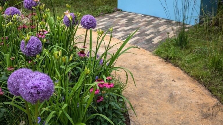 These Garden Plants Can Handle Heat and Drought Without Constant Watering