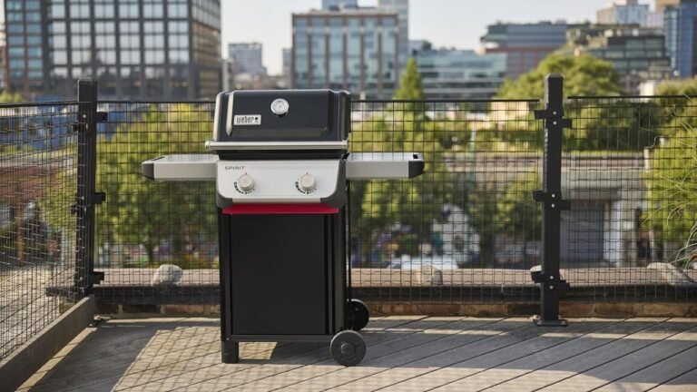 15 Best Outdoor Gas Grills for Swanky Backyard Parties