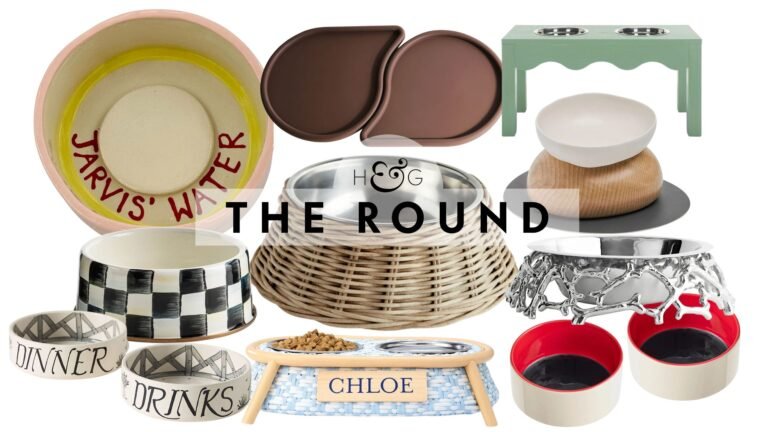 24 Dog Bowls and Dining Accessories That Double as Decor