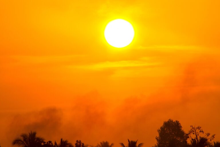 Western Europe Records Hottest June on Record, EU Scientists Say