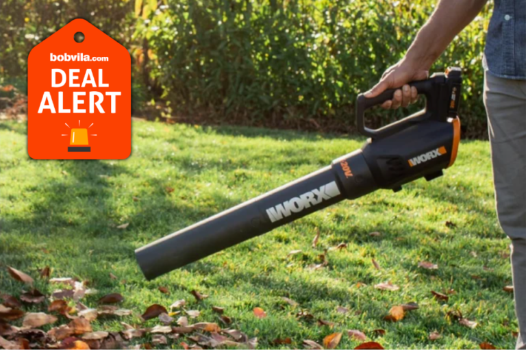 Amazon Drops Prices on Cordless Leaf Blowers—Up to 50% Off