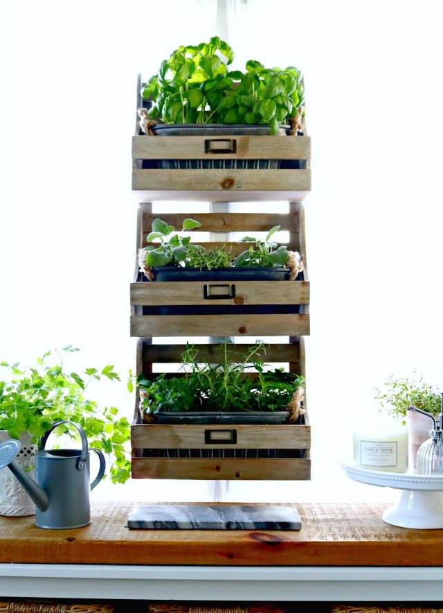 How to Plant a Kitchen Herb Garden