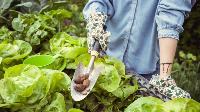 Not Beer Or Copper: The Overlooked Way To Get Rid Of Backyard Slugs