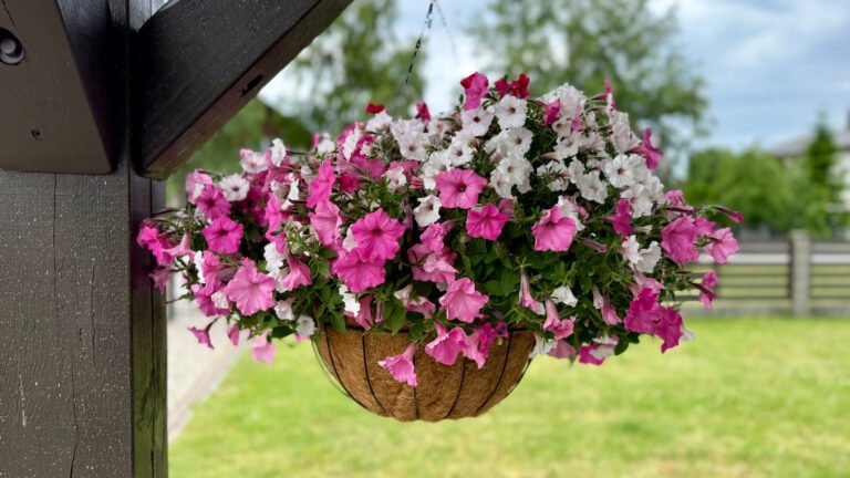 Creative Petunia Planter: Skip Hanging Baskets With This Thrift Store Find