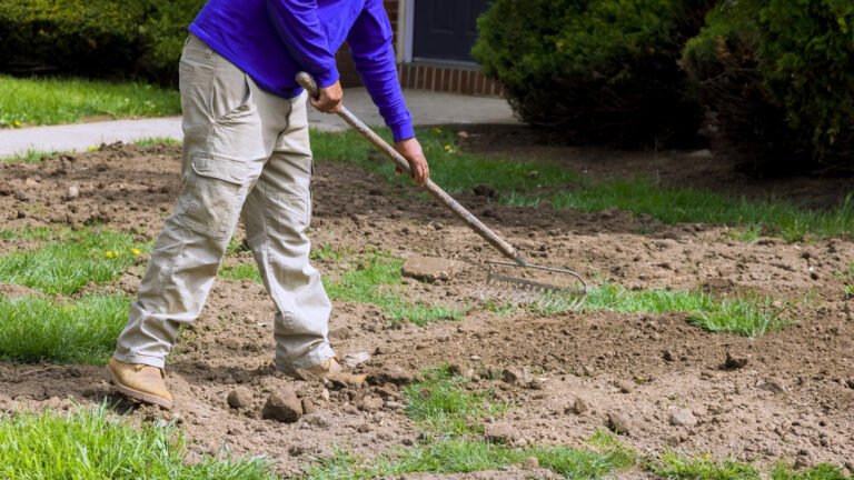 Can You Plant Grass In July?