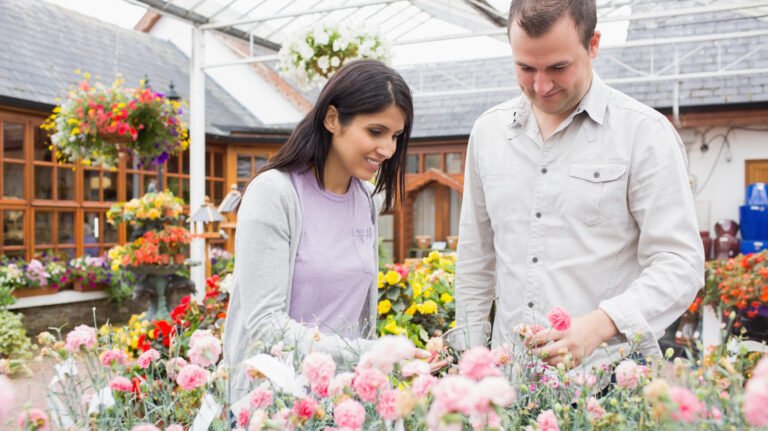 13 Perennials To Plant In August For A Color-Packed Fall Garden