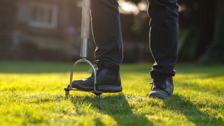 The Best Lawn Aerators Under $50