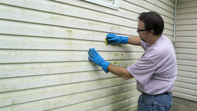Why You Should Only Clean Your Vinyl Siding Annually