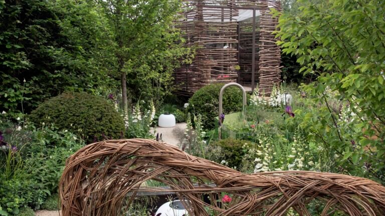 The One Thing to Do to Your Compost Pile in Summer