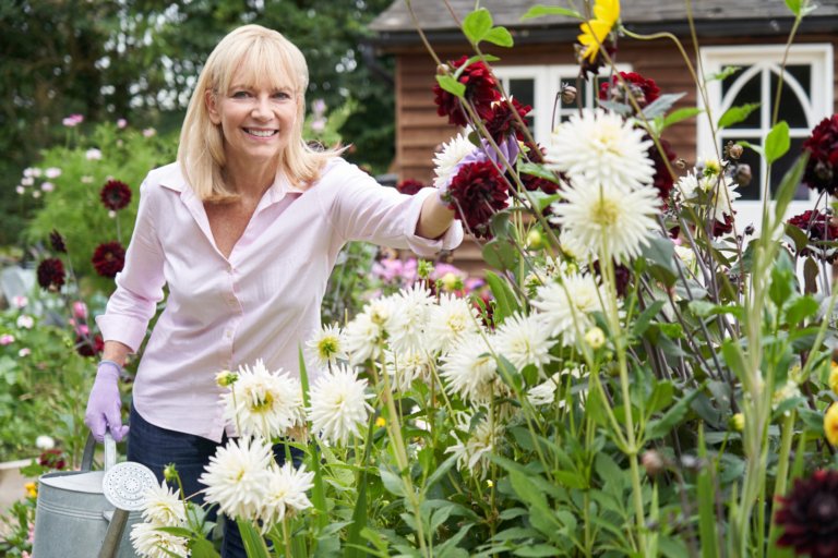Retiring Solo: 6 Critical Steps to Protect Your Independence