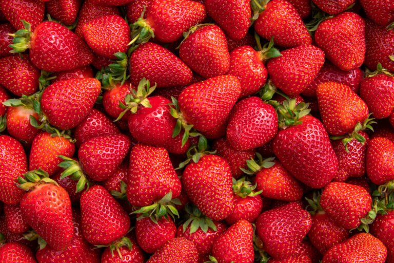 Berry Producer Driscoll’s Sued Over Alleged Greenwashing, Use of Forever Chemicals