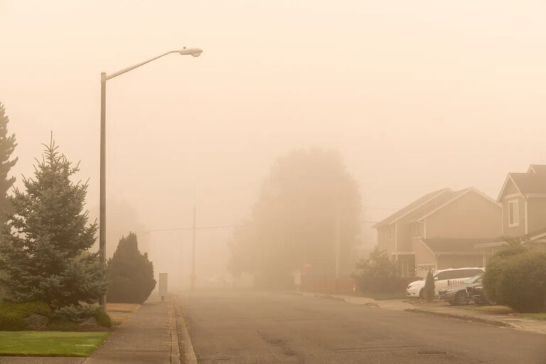 How to Keep Wildfire Smoke Out of Your Home