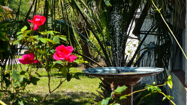 This £10 Amazon buy will deter mosquitoes from a bird bath