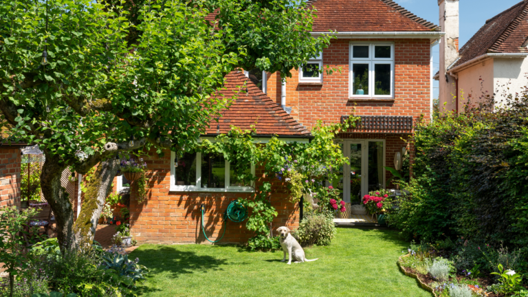 3 fast-growing trees and shrubs that create shade in a garden