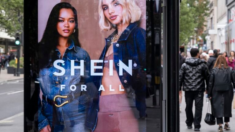 Tariffs hit Shein’s U.S. sales and profit, IPO filing shows