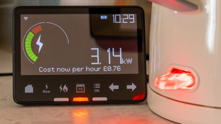 Octopus Energy urges people to cut energy use during eclipse